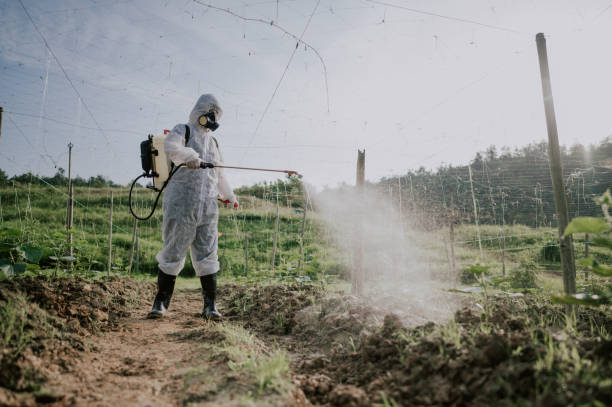 Pest Control Cost in Mountainair, NM