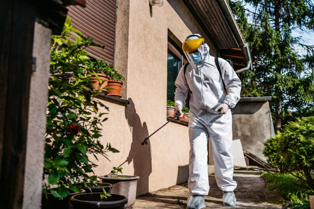 Best Bed Bug Extermination  in Mountainair, NM