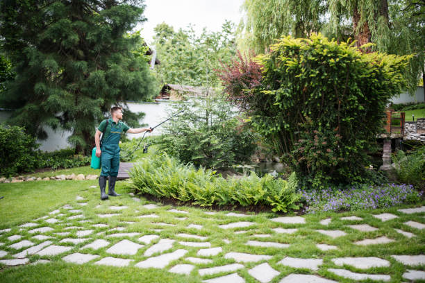 Best Ant Control Services  in Mountainair, NM