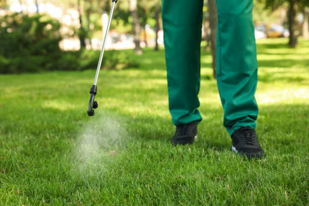 Pest Control for Restaurants in Mountainair, NM