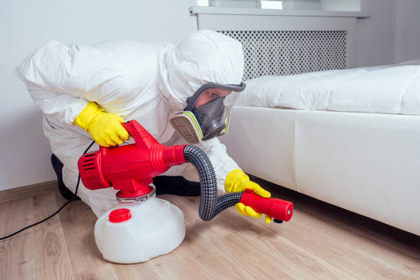 Best Local Pest Control Services  in Mountainair, NM