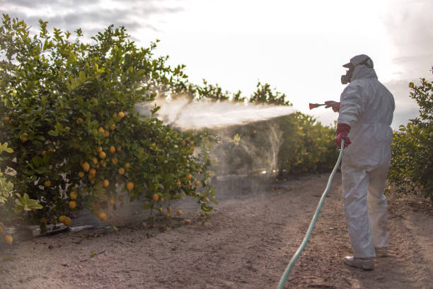 Best Best Pest Control Near Me  in Mountainair, NM