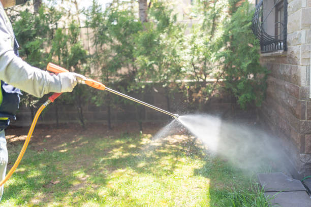 Best Affordable Pest Control Services  in Mountainair, NM
