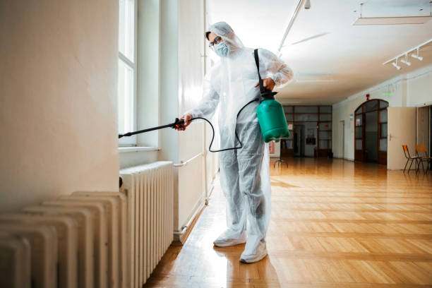 Best Ant Control Services  in Mountainair, NM