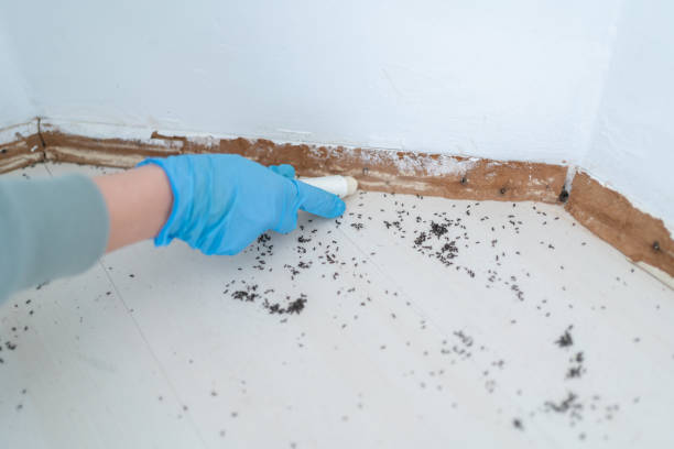 Best Pest Control for Restaurants  in Mountainair, NM